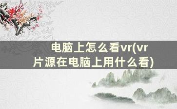 电脑上怎么看vr(vr片源在电脑上用什么看)