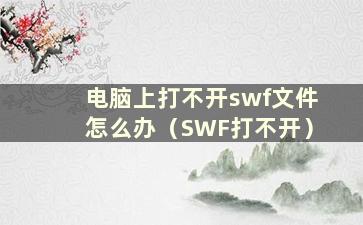 电脑上打不开swf文件怎么办（SWF打不开）