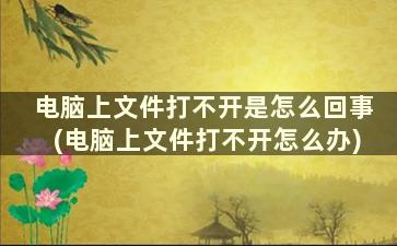 电脑上文件打不开是怎么回事(电脑上文件打不开怎么办)