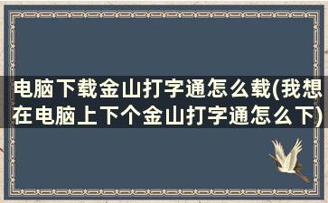 电脑下载金山打字通怎么载(我想在电脑上下个金山打字通怎么下)