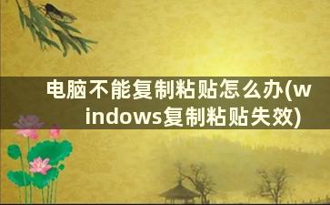 电脑不能复制粘贴怎么办(windows复制粘贴失效)