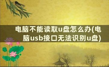 电脑不能读取u盘怎么办(电脑usb接口无法识别u盘)