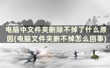 电脑中文件夹删除不掉了什么原因(电脑文件夹删不掉怎么回事)