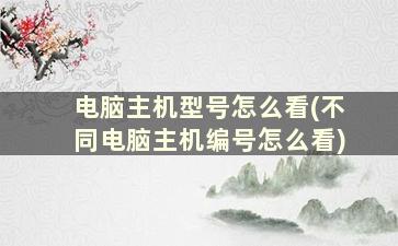 电脑主机型号怎么看(不同电脑主机编号怎么看)