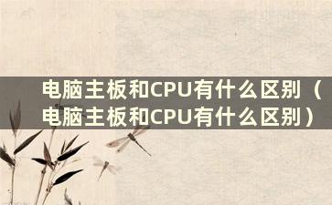 电脑主板和CPU有什么区别（电脑主板和CPU有什么区别）