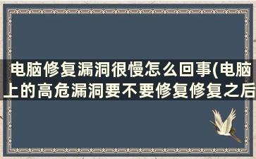 电脑修复漏洞很慢怎么回事(电脑上的高危漏洞要不要修复修复之后电脑变慢了怎么办)