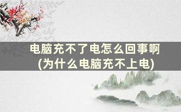 电脑充不了电怎么回事啊(为什么电脑充不上电)