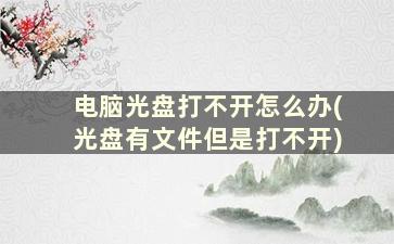 电脑光盘打不开怎么办(光盘有文件但是打不开)