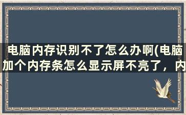 电脑内存识别不了怎么办啊(电脑加个内存条怎么显示屏不亮了，内存条都是一样的)