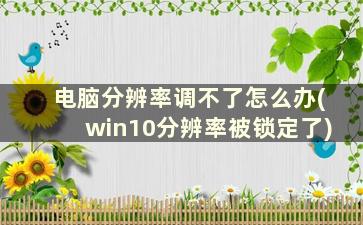 电脑分辨率调不了怎么办(win10分辨率被锁定了)