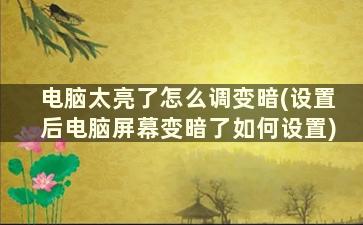 电脑太亮了怎么调变暗(设置后电脑屏幕变暗了如何设置)