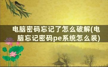 电脑密码忘记了怎么破解(电脑忘记密码pe系统怎么装)