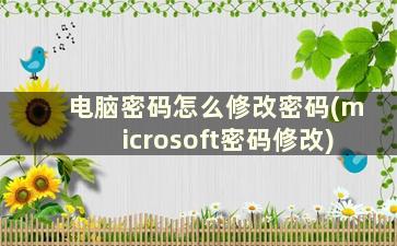 电脑密码怎么修改密码(microsoft密码修改)