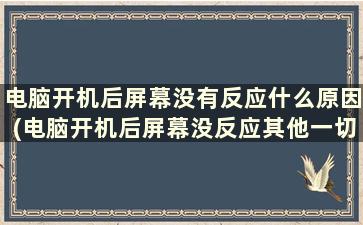 电脑开机后屏幕没有反应什么原因(电脑开机后屏幕没反应其他一切正常)