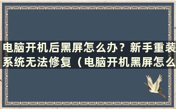 电脑开机后黑屏怎么办？新手重装系统无法修复（电脑开机黑屏怎么办）