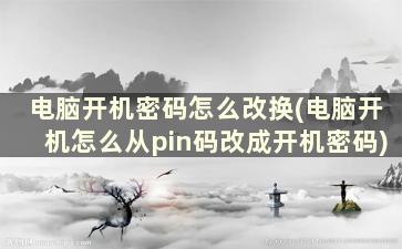 电脑开机密码怎么改换(电脑开机怎么从pin码改成开机密码)