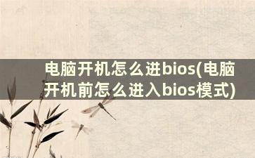 电脑开机怎么进bios(电脑开机前怎么进入bios模式)