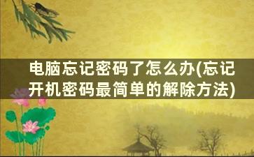 电脑忘记密码了怎么办(忘记开机密码最简单的解除方法)