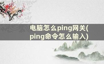 电脑怎么ping网关(ping命令怎么输入)