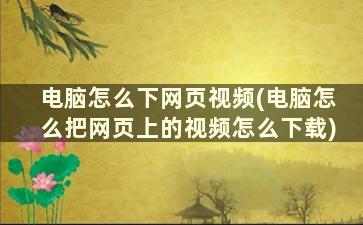 电脑怎么下网页视频(电脑怎么把网页上的视频怎么下载)