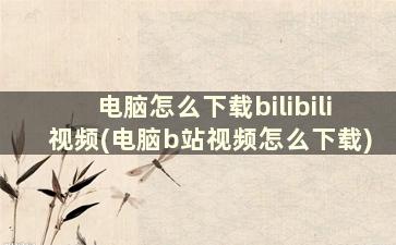 电脑怎么下载bilibili视频(电脑b站视频怎么下载)