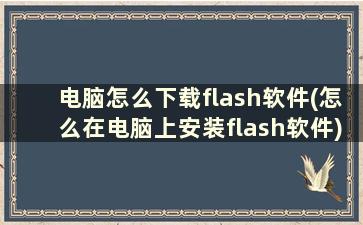 电脑怎么下载flash软件(怎么在电脑上安装flash软件)