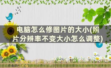 电脑怎么修图片的大小(照片分辨率不变大小怎么调整)