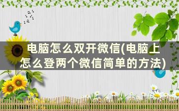 电脑怎么双开微信(电脑上怎么登两个微信简单的方法)