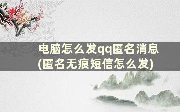 电脑怎么发qq匿名消息(匿名无痕短信怎么发)