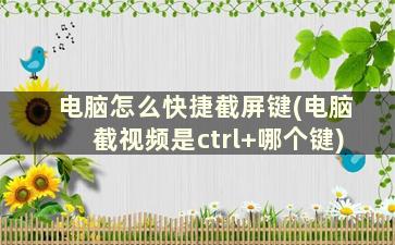 电脑怎么快捷截屏键(电脑截视频是ctrl+哪个键)