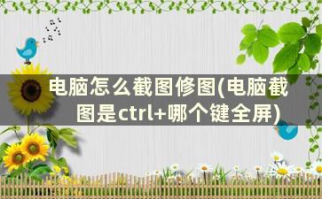 电脑怎么截图修图(电脑截图是ctrl+哪个键全屏)