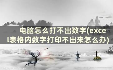 电脑怎么打不出数字(excel表格内数字打印不出来怎么办)