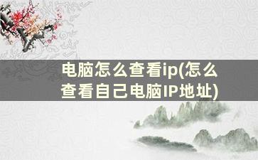 电脑怎么查看ip(怎么查看自己电脑IP地址)