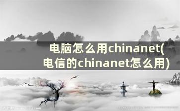 电脑怎么用chinanet(电信的chinanet怎么用)