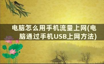 电脑怎么用手机流量上网(电脑通过手机USB上网方法)