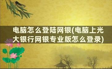 电脑怎么登陆网银(电脑上光大银行网银专业版怎么登录)