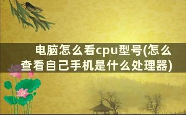 电脑怎么看cpu型号(怎么查看自己手机是什么处理器)