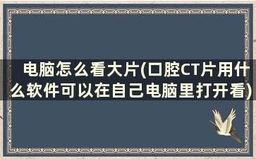 电脑怎么看大片(口腔CT片用什么软件可以在自己电脑里打开看)