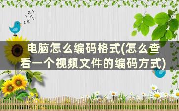 电脑怎么编码格式(怎么查看一个视频文件的编码方式)