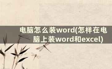 电脑怎么装word(怎样在电脑上装word和excel)