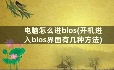 电脑怎么进bios(开机进入bios界面有几种方法)