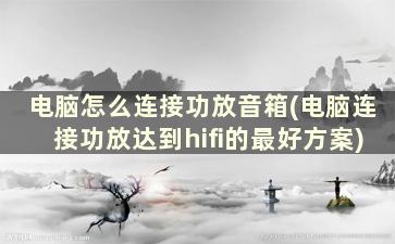 电脑怎么连接功放音箱(电脑连接功放达到hifi的最好方案)