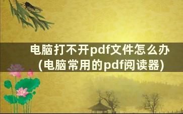 电脑打不开pdf文件怎么办(电脑常用的pdf阅读器)