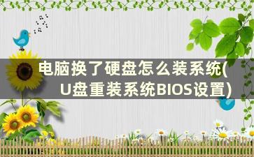 电脑换了硬盘怎么装系统(U盘重装系统BIOS设置)