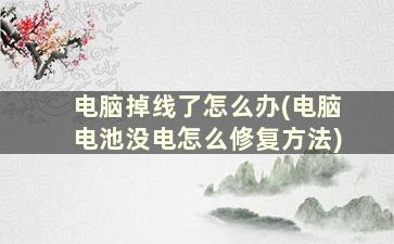 电脑掉线了怎么办(电脑电池没电怎么修复方法)