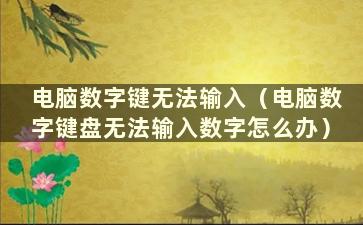 电脑数字键无法输入（电脑数字键盘无法输入数字怎么办）