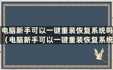 电脑新手可以一键重装恢复系统吗（电脑新手可以一键重装恢复系统吗以及如何操作）