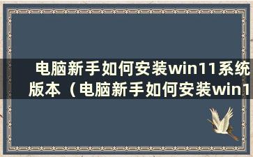 电脑新手如何安装win11系统版本（电脑新手如何安装win11系统）