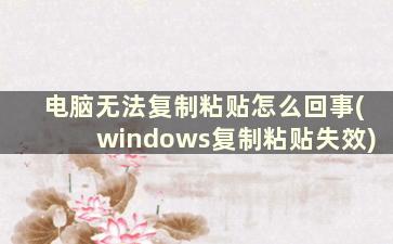 电脑无法复制粘贴怎么回事(windows复制粘贴失效)