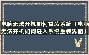 电脑无法开机如何重装系统（电脑无法开机如何进入系统重装界面）